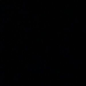 Meet your Posher, Omar